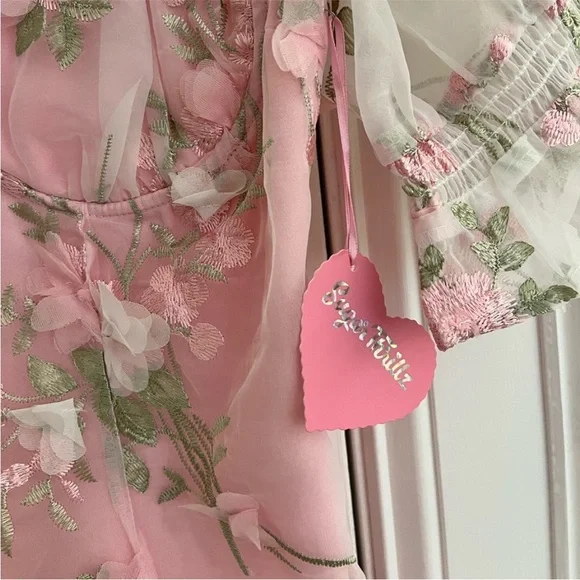 Dollz Kill X Sugar Thrillz floral embroidery mesh mini dress - Picture 5 of 9